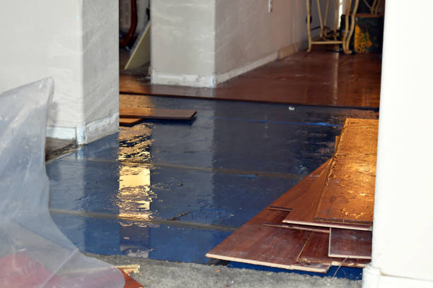 Professional Flood Cleanup technician working in Lake George, MI